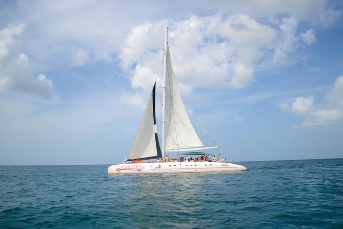 Saona Island Day Trip + Lobsters Included - Who should book this Saona day trip?