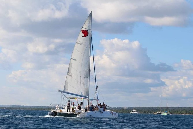 Saona Island Day Trip + Lobsters Included - Pickup and the speed-boat factor from Punta Cana