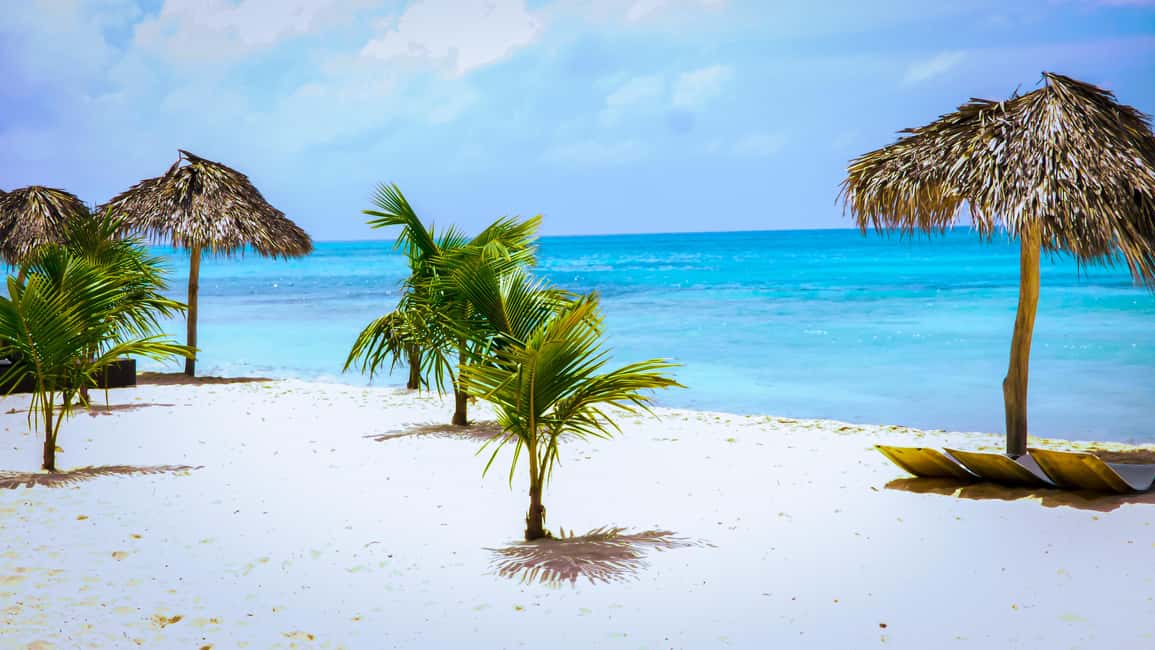 Saona Island Day Trip + Lunch + Open Bar from Punta Cana - Catamaran return and Bayahibe break: save your energy for the ride back