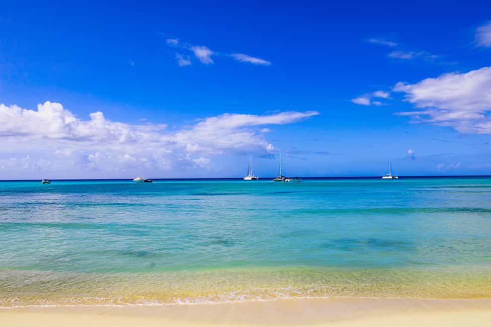 Saona Island Day Trip + Lunch + Open Bar from Punta Cana - Value for $88: when this package is a smart buy