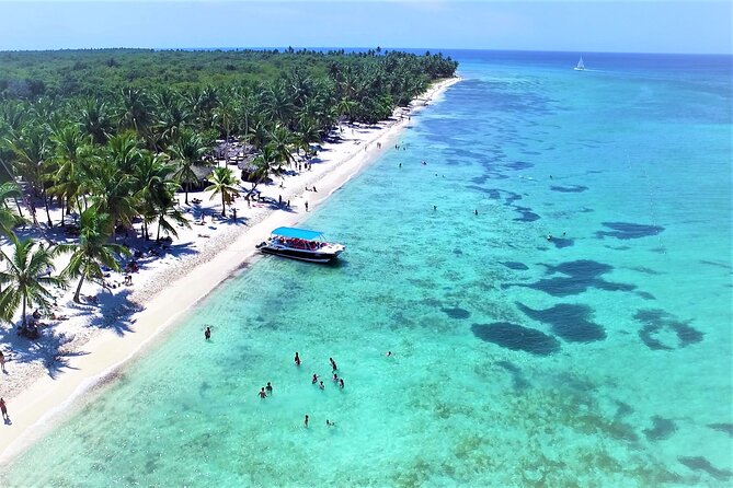 Saona Island Day trip with lunch and transport included. - Key highlights worth planning for