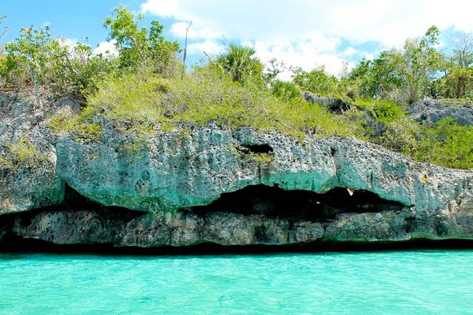 Saona Island Day trip with lunch and transport included. - What the included lunch and drinks do for the value