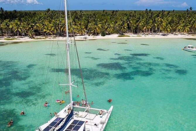 Saona Island Day Trip with Lunch, Transportation and Drinks - Natural Pool snorkel and starfish photos: what to expect in the water