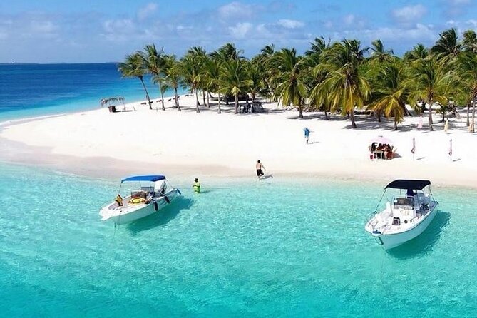 Saona Island Day Trip with Lunch, Transportation and Drinks - The catamaran ride: the part that sets the tone before you ever step on sand