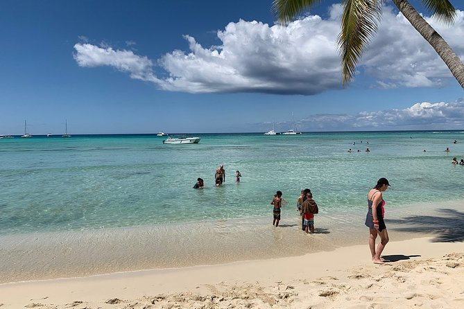 Saona Island Excursion by Catamaran and Speedboat (Full Day) - Price and Value for a Full-Day Saona Island Trip ($95)