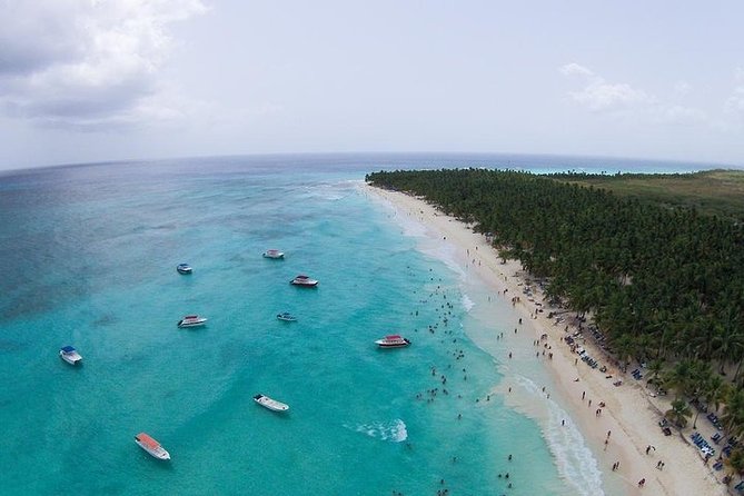 Saona Island Excursion by Catamaran and Speedboat (Full Day) - Who Should Book This Saona Island Catamaran and Speedboat Tour