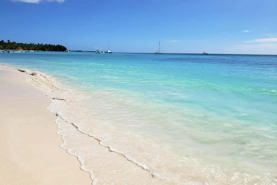 Saona Island from Punta Cana Day Trip with Open Bar - Key things that make this Saona trip work