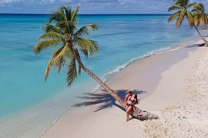 Saona Island from Punta Cana with Transportation and Lunch Included - What the staff gets right: safety, punctual pickup, and attentive service