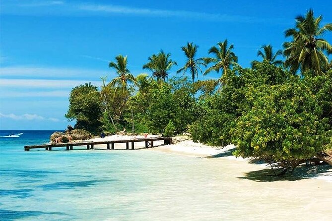 Saona Island from Punta Cana with Transportation and Lunch Included - Saona Island beach time: lunch first, then unspoiled sand