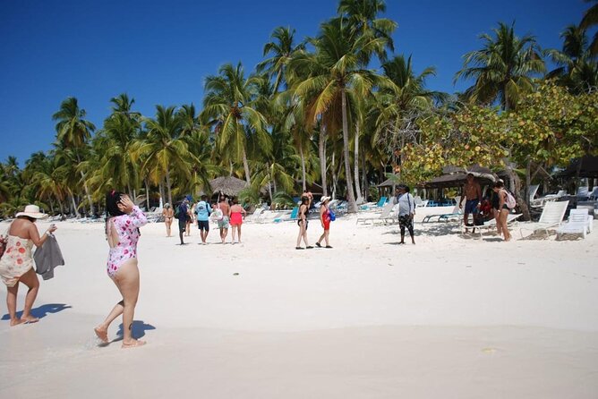 Saona Island Full Day Adventure From Punta Cana & Bavaro - Saona Island in One Full Day: What You Really Get