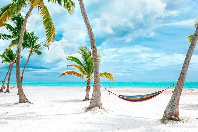 Saona Island Full Day Adventure From Punta Cana & Bavaro - Bayahibe Waiting Time: The Part No One Posts Photos Of