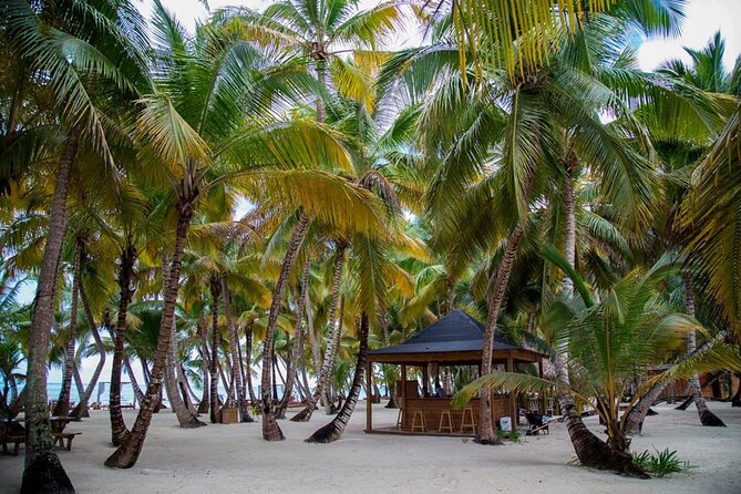 Saona Island Full Day Adventure From Punta Cana & Bavaro - Isla Saona: Beaches, Natural Pools, and That Buffet Lunch