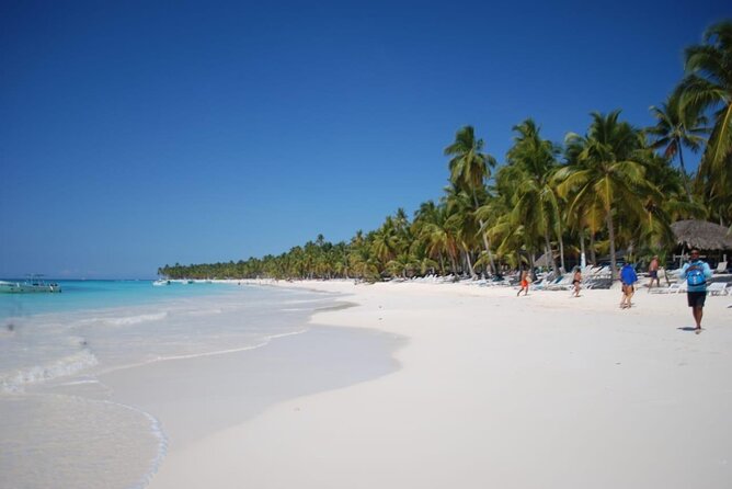 Saona Island Full Day Adventure From Punta Cana & Bavaro - Facilities Reality Check: Comfort Isn’t Guaranteed