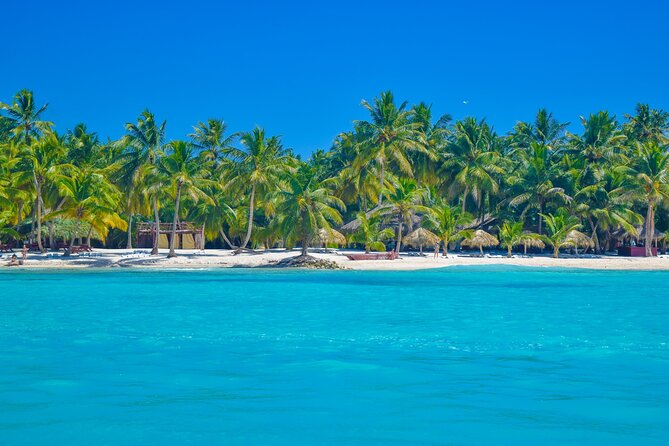 Saona Island Full-Day All-Inclusive Tour from Santo Domingo - Morning pickup and the Bayahibe transfer: plan for early wake-ups