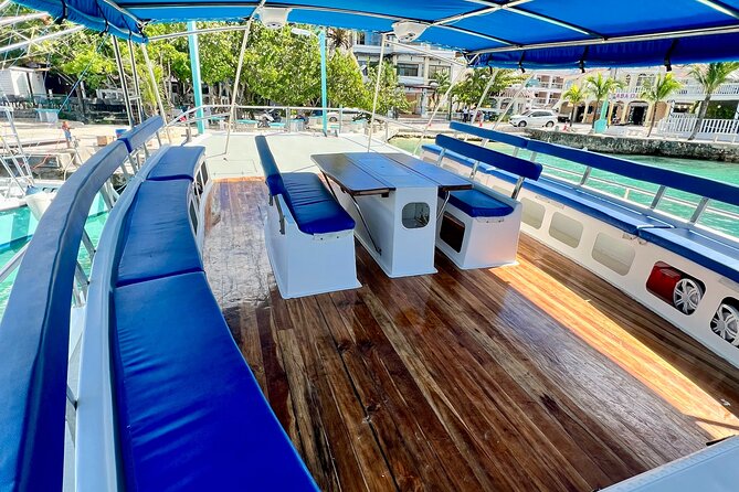 Saona Island: Full-day Catamaran Tour - Small Group - Saona Island beach time: 3 hours that actually feel like a getaway
