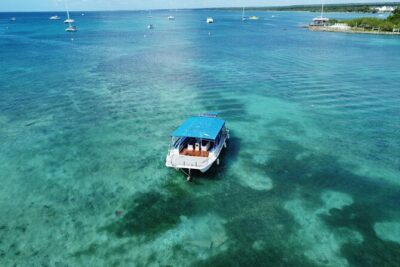 Saona Island: Full-day Catamaran Tour - Small Group - Catuano snorkeling: what you’ll actually see in 45 minutes