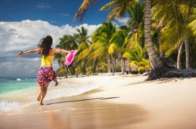 Saona Island Full-Day Excursion - Lunch under palms and what’s included in your day