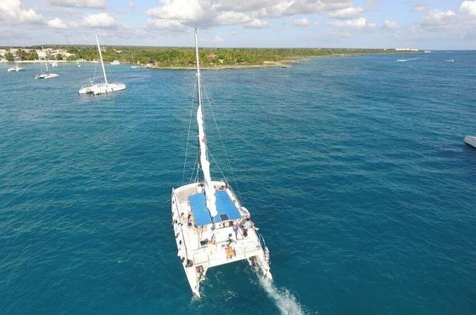 Saona Island Full-Day Excursion - Price and value: why $75 can make sense (or not)