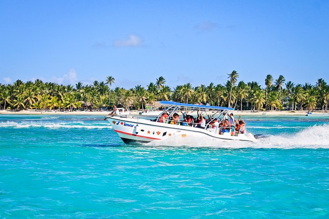 Saona Island Full Day From Punta Cana - Isla Saona beach time, buffet lunch, and the open-bar rhythm