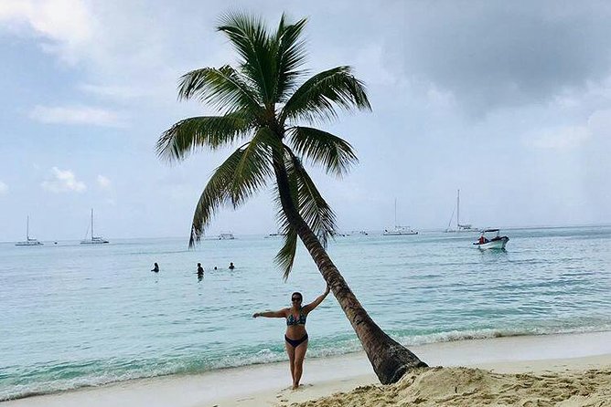 Saona Island Full Day From Punta Cana - Food, drinks, and beach activities: what’s included and what to expect