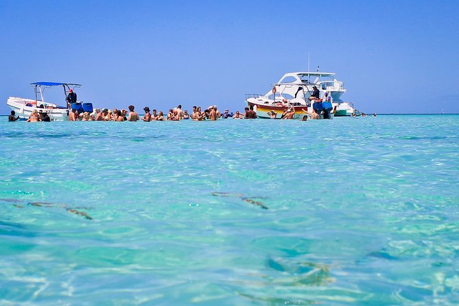 Saona Island Full Day From Punta Cana - Price and logistics: does $69.99 make sense?