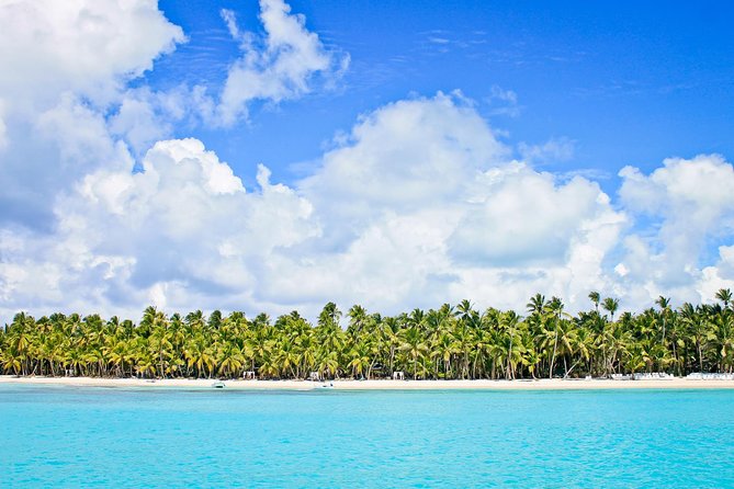 Saona Island Full Day From Punta Cana - Group size and communication: keeping the day smooth with Paradise P.C.