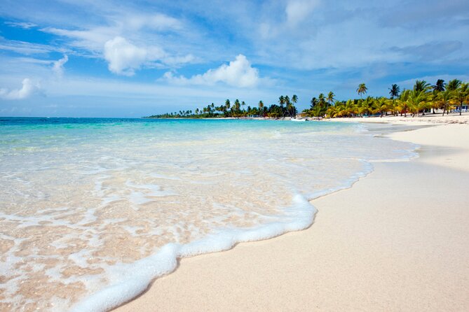 Saona Island Full-Day Tour from Punta Cana Bayahibe All Inclusive - Key highlights to know before you go