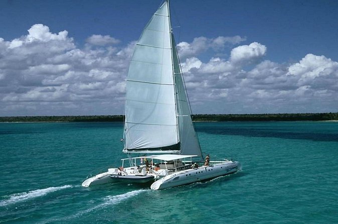 Saona Island Full Day Tour Lunch and Transportation Included - Who this Saona day trip is best for