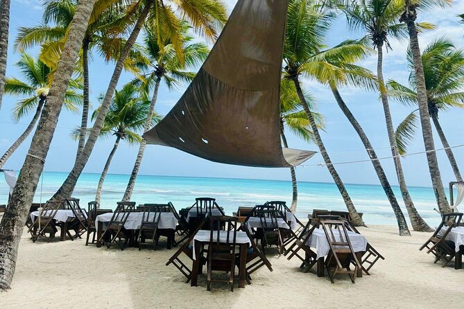 Saona Island Full Day Tour with Buffet Lunch, Paella, & Open Bar - Bayahibe to Saona: Speedboat Ride and What It Means for Your Day