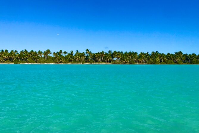 Saona Island Full Day Tour with Buffet Lunch, Paella, & Open Bar - Snorkeling vs. Relaxing: Choosing Your Own Island Pace