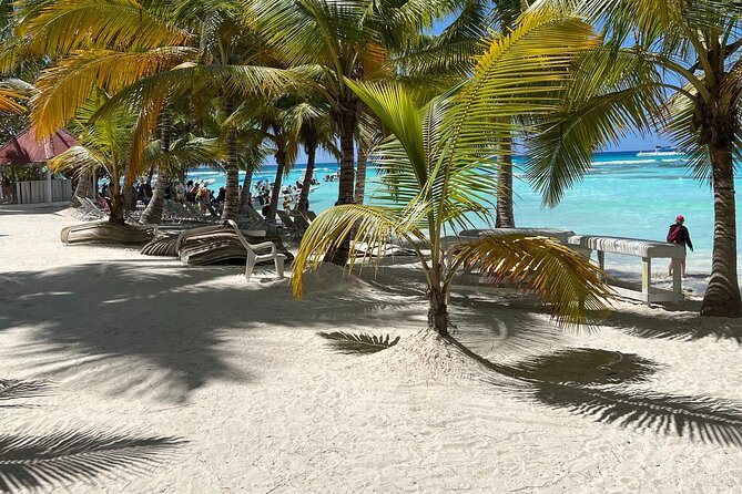 Saona Island Full Day Tour with Buffet Lunch, Paella, & Open Bar - The Open Bar: Rum, Mojito, Rum Punch, and How to Use It