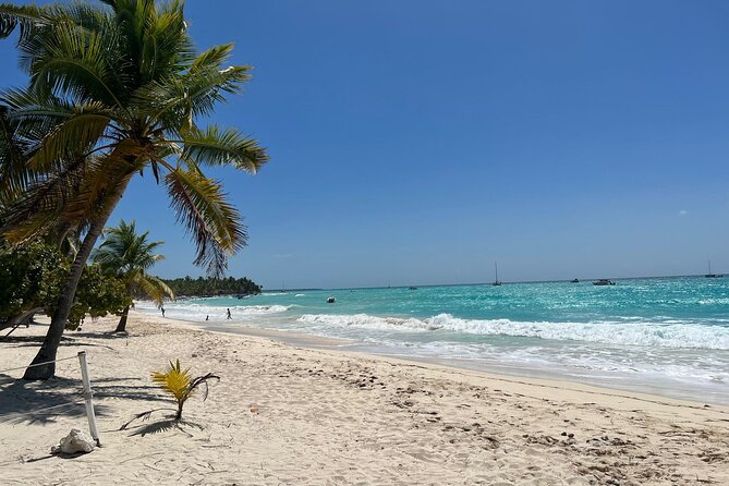 Saona Island Full Day Tour with Buffet Lunch, Paella, & Open Bar - What the 120-Guest Limit Feels Like in Real Life