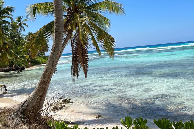 Saona Island Full Day Tour with Buffet Lunch, Paella, & Open Bar - Price and Value: Is $75.05 a Good Deal?