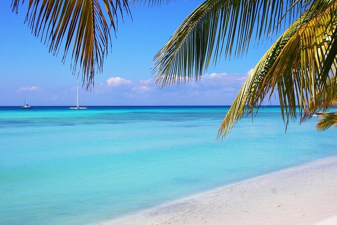 Saona island full day tours - catamarán party from santo domingo - Price and value: why $90 can work (and when it might not)