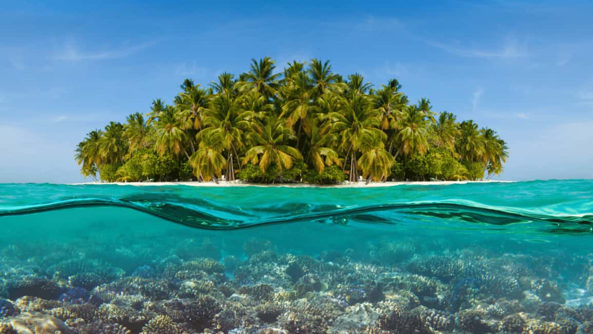 Saona Island: Hidden Beach & Natural Pool - The Hidden Beach Stop: Quiet Sand, Clear Water, and Real Island Time