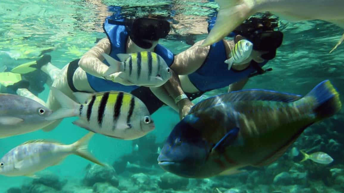 Saona Island: Hidden Beach & Natural Pool - The Catamaran Return With Music: Fun, But Watch the Comfort