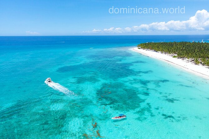 Saona Island, Natural pool Starfish, Fast boat, Catamaran +Dances - Key highlights you’ll actually care about