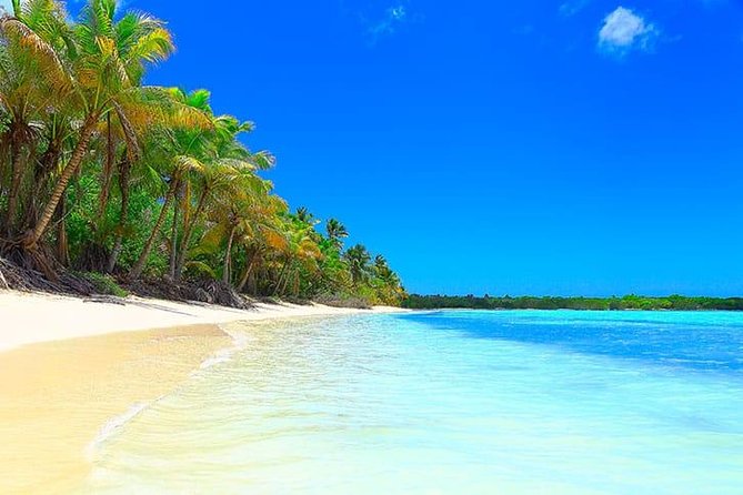 Saona Island Paradise Full Day - all inclusive. From Punta Cana & Bayahibe - Saona Island: The Nearly-Three-Hour Beach Payoff
