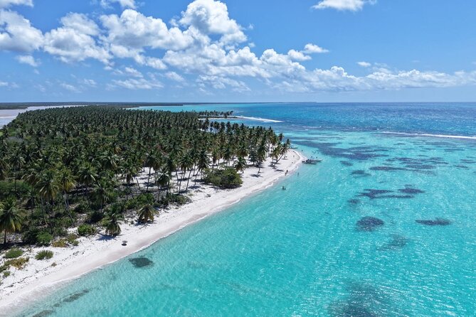 Saona Island Premium Discovery Tour from Punta Cana or Bayahíbe - Key things to know before you go
