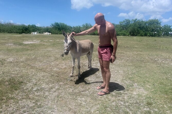 Saona Island Premium Discovery Tour from Punta Cana or Bayahíbe - Lunch, Rum, and the Eco-Friendly No-Plastic Approach
