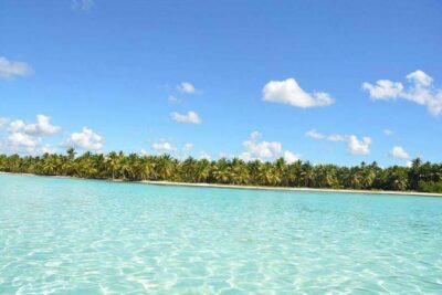 Saona Island Private +8 People Platinum Transfer - Snorkeling stop: the easiest way to feel the Dominican Sea