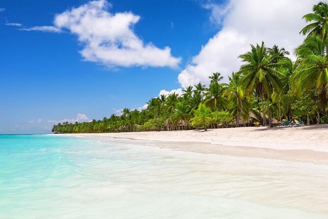 Saona Island Private Boat Tour with Lunch and Beverages - Key things I’d zero in on before you go