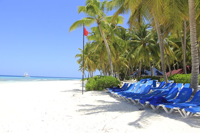 Saona Island Private Boat Tour with Lunch and Beverages - A Private Saona Island Escape You Can Actually Plan Around