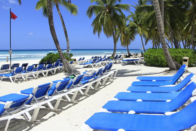 Saona Island Private Boat Tour with Lunch and Beverages - On the Water: What Your Boat Day Feels Like