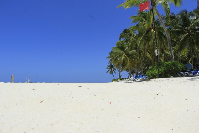 Saona Island Private Boat Tour with Lunch and Beverages - The Natural Pool Moment on Saona