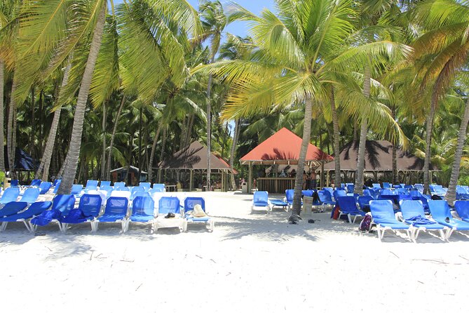 Saona Island Private Boat Tour with Lunch and Beverages - Food Expectations: What Lunch Is Like and What Might Change