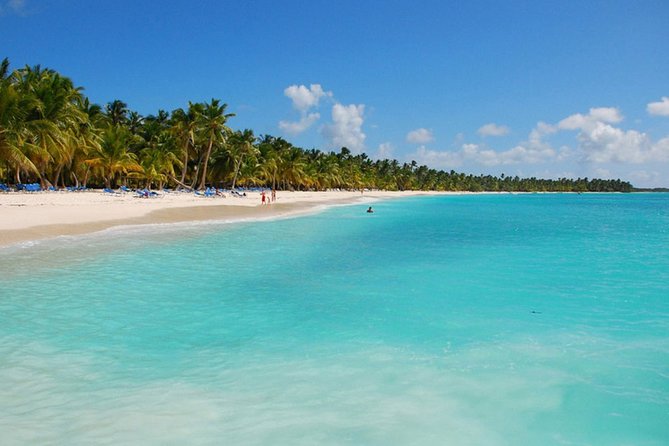 Saona Island Private Boat Tour with Lunch and Beverages - Morning Pickup and Getting to the Dock by 6:30am