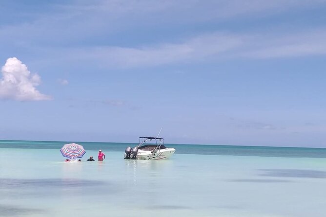Saona island - Private Tour with a Luxury Speed Boat - Isla Saona beach time: two hours to swim and snack