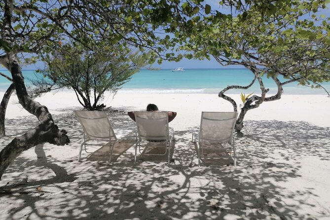 Saona island - Private Tour with a Luxury Speed Boat - Las Palmillas natural pools: shallow water, starfish spotting