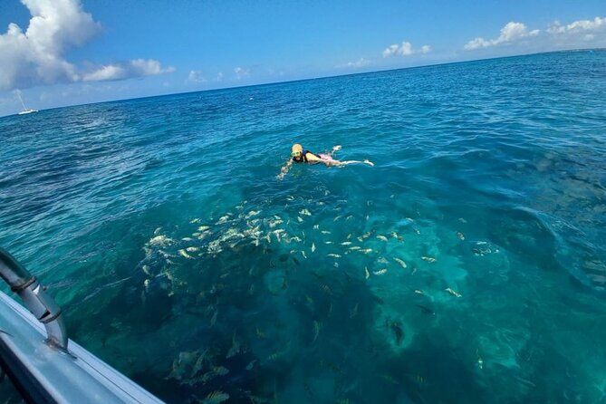 Saona island - Private Tour with a Luxury Speed Boat - Drinks, snacks, and snorkeling gear: what’s genuinely included